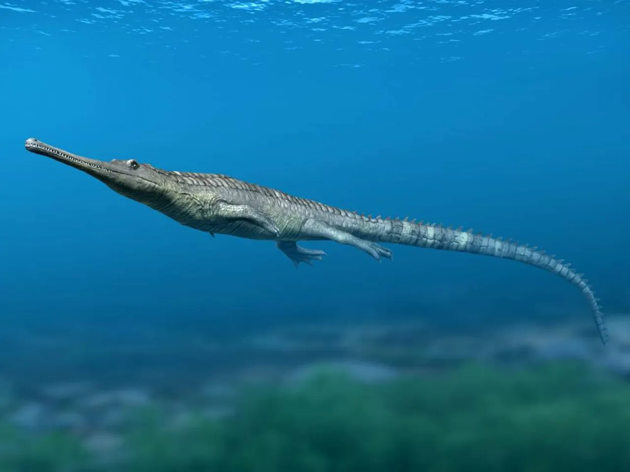 กาเวียลินัม (Gavialinum)