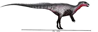 กิเดียนแมนเทลเลีย (Gideonmantellia)