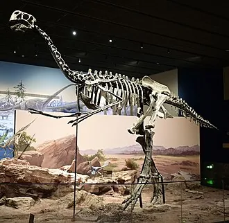 ยิแกนโทแรปเตอร์ (Gigantoraptor)