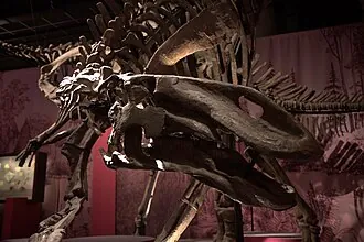 กิลมอร์โอซอรัส (Gilmoreosaurus)