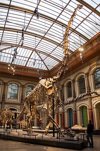 จิราฟฟาทิทัน (Giraffatitan)