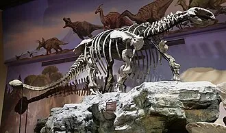 โกบิซอรัส (Gobisaurus)