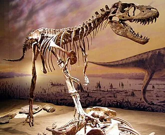 กอร์โกซอรัส (Gorgosaurus)