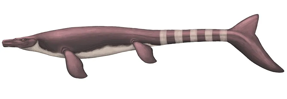 โกโรนิโอซอรัส (Goronyosaurus)