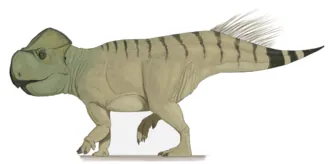 ไกรโฟเซราทอปส์ (Gryphoceratops)