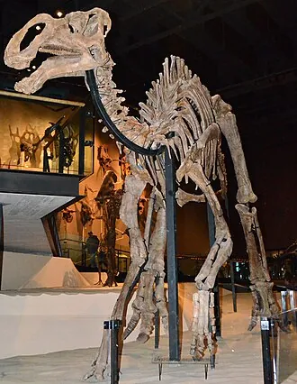 ไกรโปซอรัส (Gryposaurus)