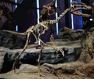 กวนหลง (Guanlong)
