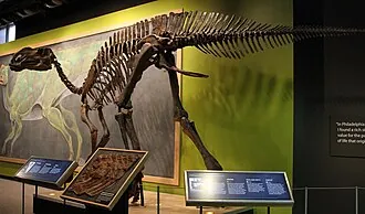 ฮาโดรซอรัส (Hadrosaurus)