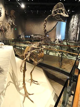 แฮกริฟัส (Hagryphus)