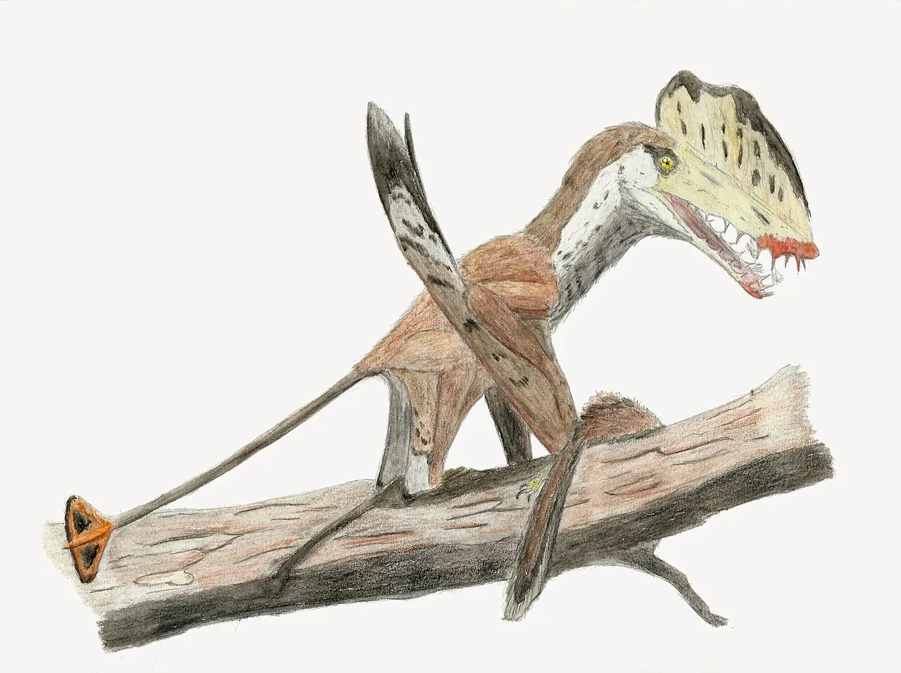 ฮาร์แพกโทกนาทัส (Harpactognathus)