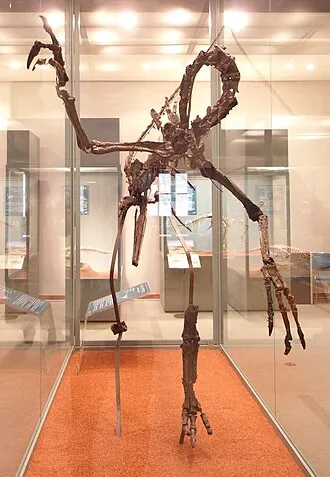 ฮาร์พีมิมัส (Harpymimus)