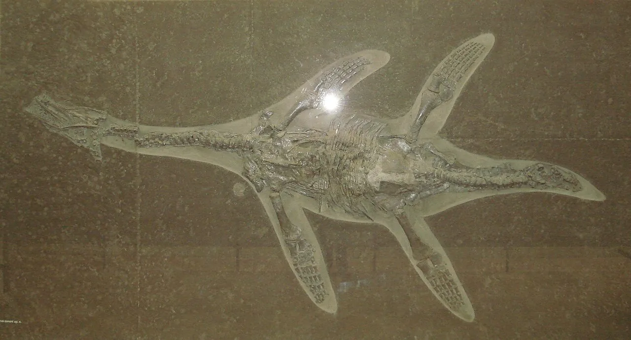 ฮอฟฟิโอซอรัส (Hauffiosaurus)