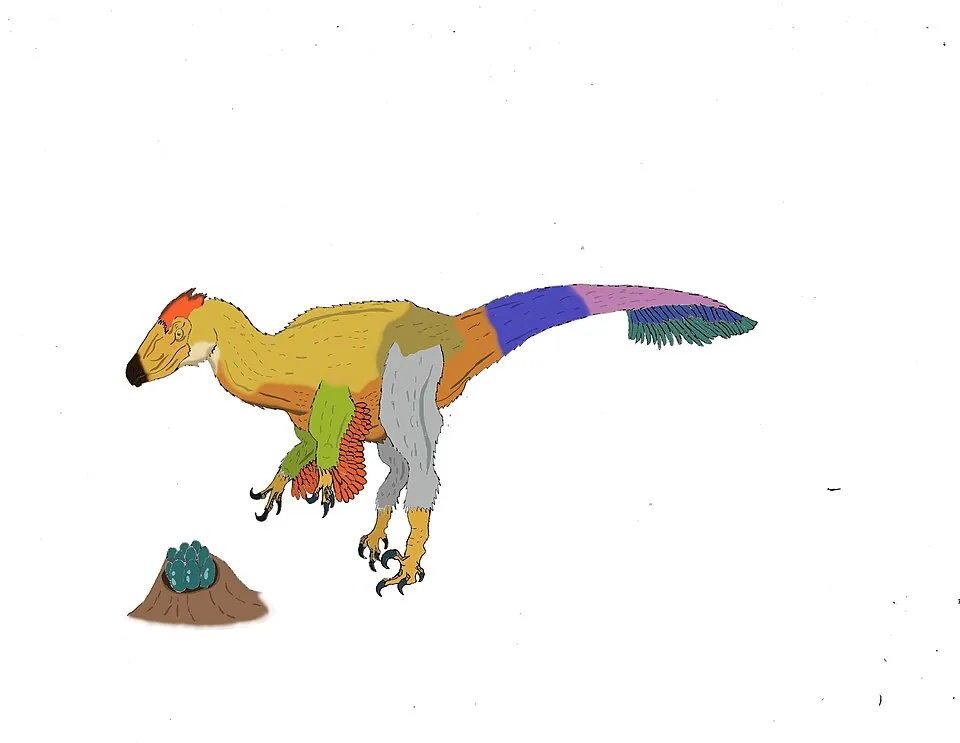 ฮิเมโอลิทัส (Himeoolithus)