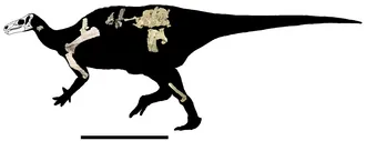 ฮิปโปแดรโก (Hippodraco)