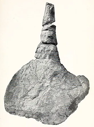 ฮอพลิโทซอรัส (Hoplitosaurus)
