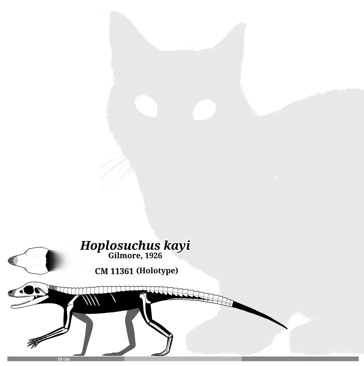 ฮอปโลซูคัส (Hoplosuchus)
