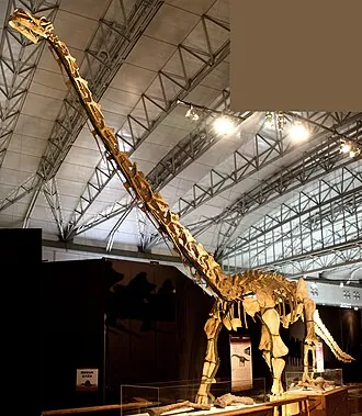 หัวเป่ย์ซอรัส (Huabeisaurus)