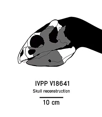 ฮวาเหลียนเซราทอปส์ (Hualianceratops)
