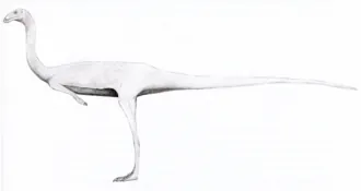 ฮุยน์กุลซอรัส (Huinculsaurus)