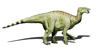 ฮิปเซโลสไปนัส (Hypselospinus)