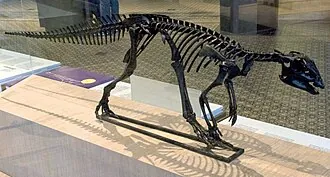 ฮิปซิโลโฟดอน (Hypsilophodon)