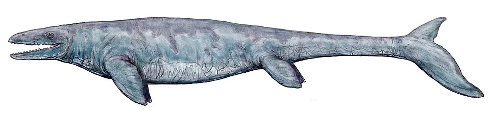 อิกดามาโนซอรัส (Igdamanosaurus)