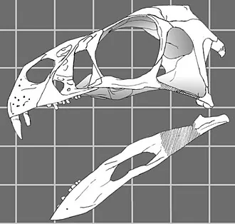 อินซิซิโวซอรัส (Incisivosaurus)