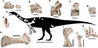 ไอริโซซอรัส (Irisosaurus)