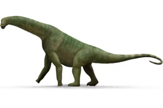 ไอซิซอรัส (Isisaurus)