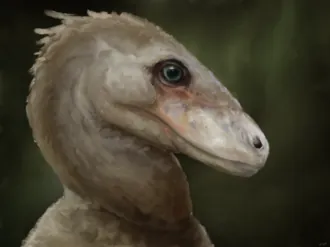 ไอเทมิรัส (Itemirus)