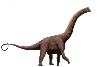 ไจโนซอรัส (Jainosaurus)