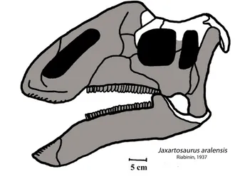 แจ็กซาร์โทซอรัส (Jaxartosaurus)