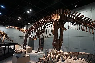 เจียงซาโนซอรัส (Jiangshanosaurus)