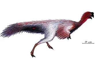 เจียงซีซอรัส (Jiangxisaurus)