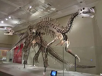 จินตาซอรัส (Jintasaurus)
