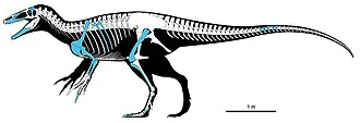 โฮอากินราปเตอร์ (Joaquinraptor)