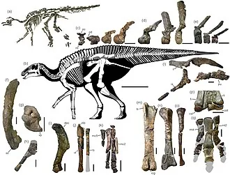 คามุยซอรัส (Kamuysaurus)