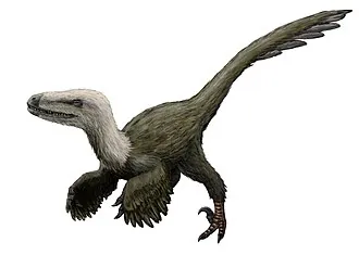 คันไซกนาทัส (Kansaignathus)