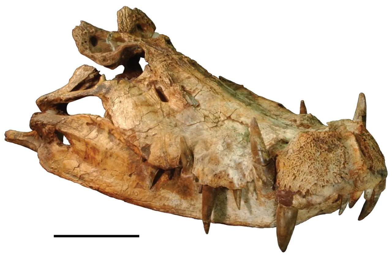 คาพโรซูคัส (Kaprosuchus)