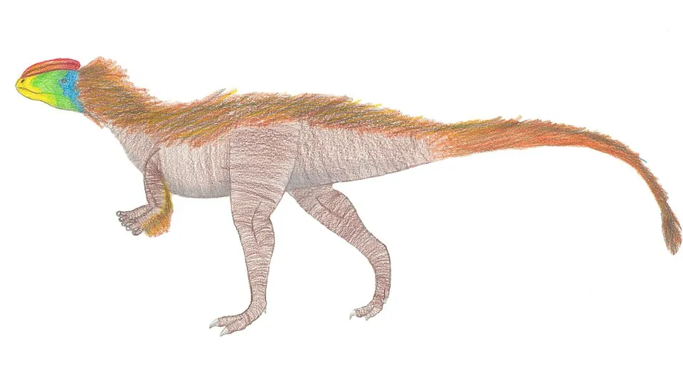 ไคเอนทาเวเนเตอร์ (Kayentavenator)