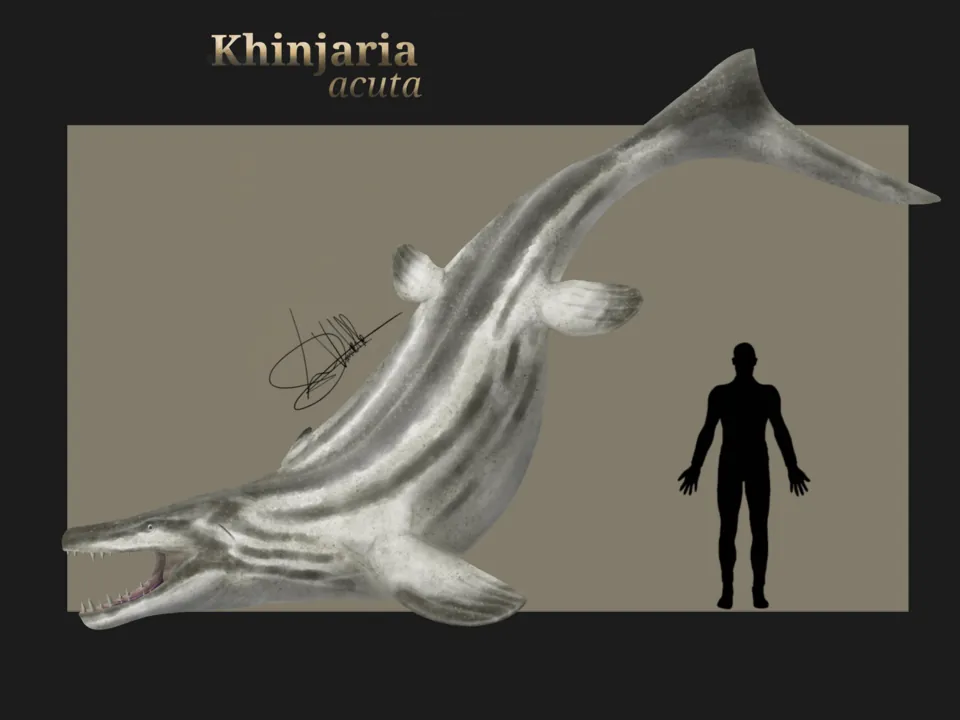 คินจาเรีย (Khinjaria)