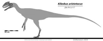 คิเลสคัส (Kileskus)