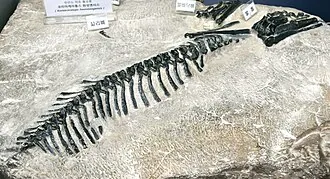 โคเรียเซอราทอปส์ (Koreaceratops)