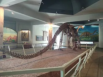 โคตาซอรัส (Kotasaurus)
