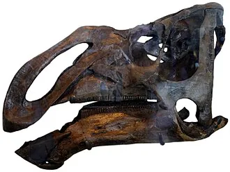คริโตซอรัส (Kritosaurus)