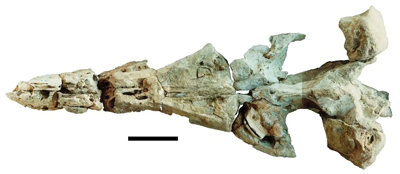 โครโนซอรัส (Kronosaurus)