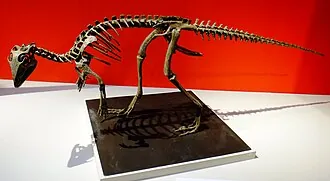 คูลินดาโดรเมอุส (Kulindadromeus)