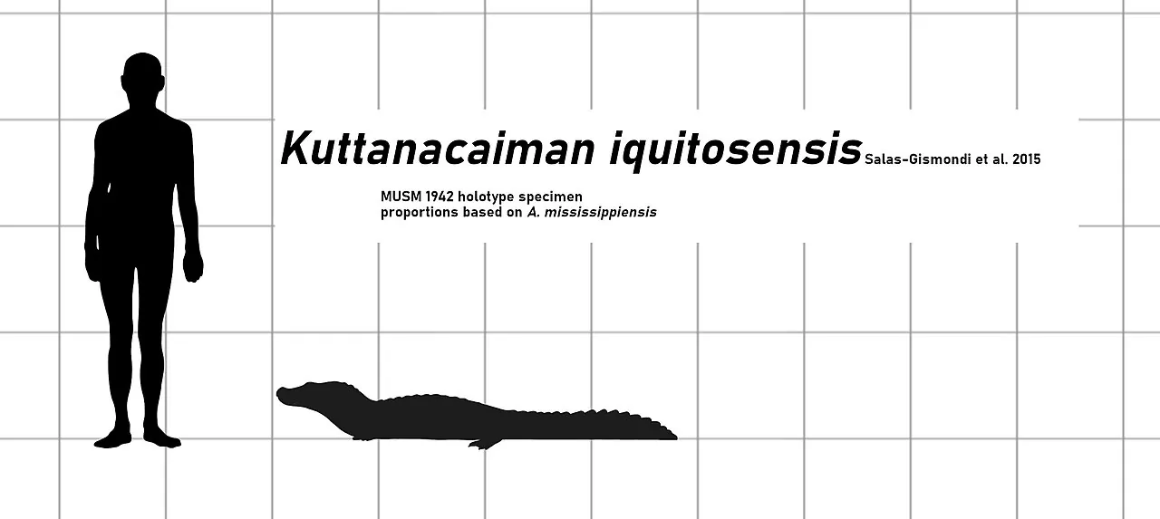 Kuttanacaiman (Kuttanacaiman)