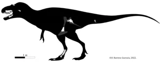 ลาโบคาเนีย (Labocania)