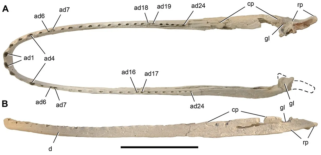 ลากาโนซูคัส (Laganosuchus)